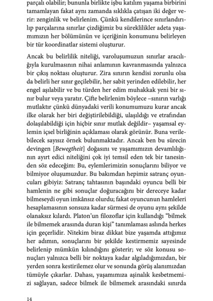 Yaşam Görüsü - Georg Simmel