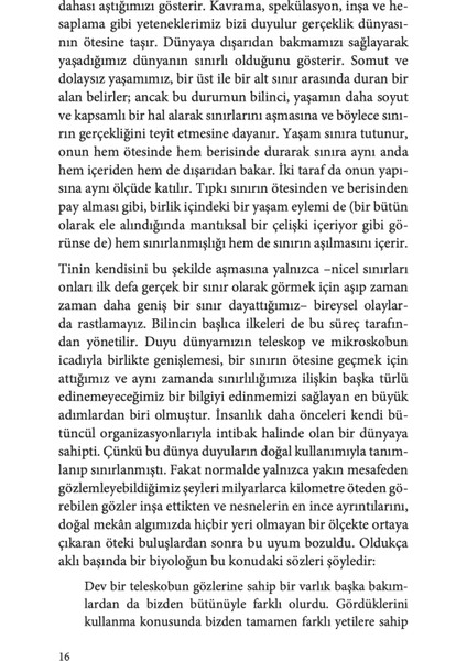 Yaşam Görüsü - Georg Simmel