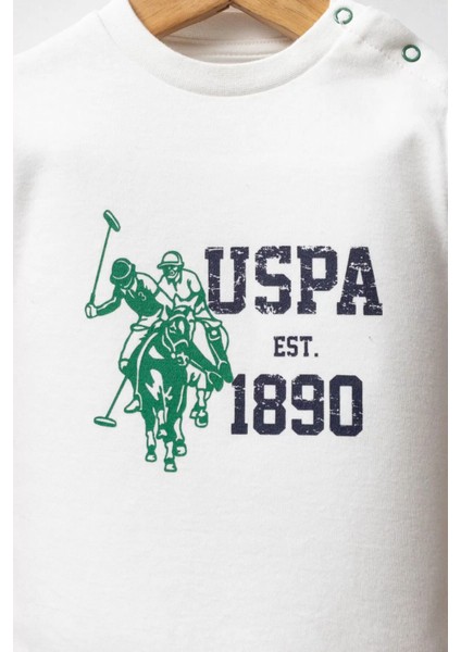 U.s. Polo Assn 3'lü Takım USB2553 Lacivert-Yeşil fırsatları