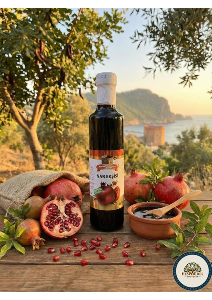 Alanya Pekmezleri Nar Ekşisi Şişede 340GR