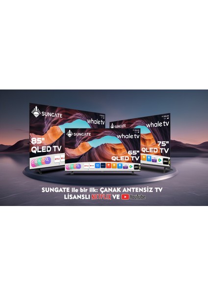 Q Led 65'' Whale OS fiyatları