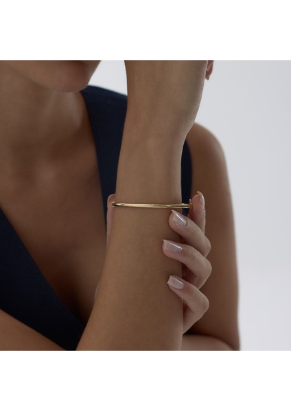 Wanderlight Kelepçe fiyatları