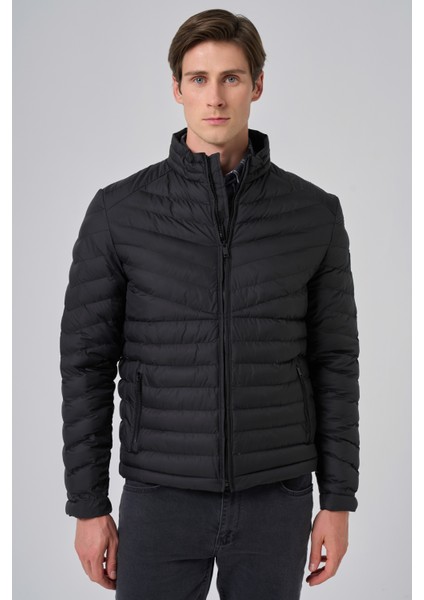 Erkek Siyah Polyester Kısa Kapitone Mont fiyatları