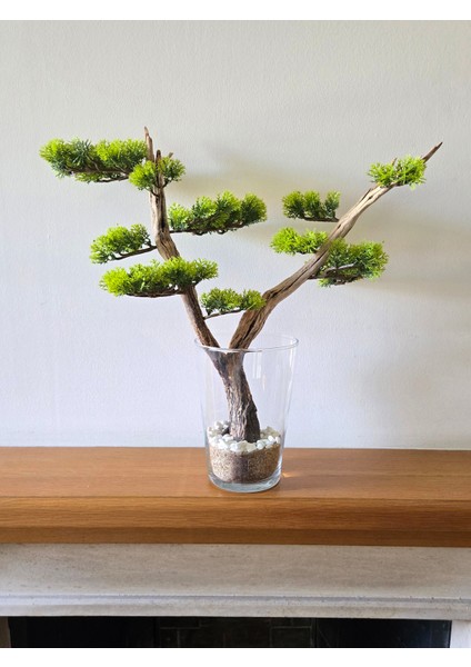 El Yapımı Cam Vazo Bonsai | Gerçek Okaliptus Gövdesi | Doğal Taşlı Masa & Ev Dekoru