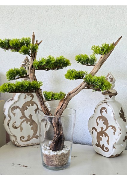 El Yapımı Cam Vazo Bonsai | Gerçek Okaliptus Gövdesi | Doğal Taşlı Masa & Ev Dekoru fiyatları