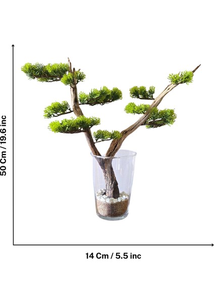El Yapımı Cam Vazo Bonsai | Gerçek Okaliptus Gövdesi | Doğal Taşlı Masa & Ev Dekoru fırsatları
