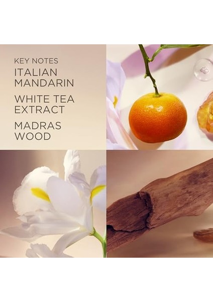 Elizabeth Arden Whıte Tea Deodorant Krem 40ML fiyatları