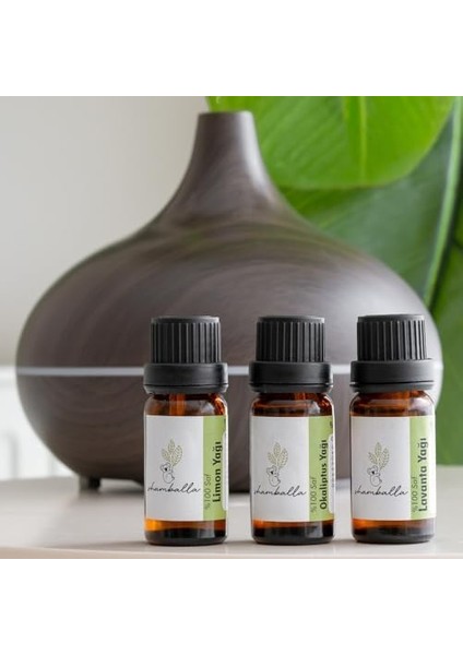 Shamballa Okaliptus Yağı-Limon Yağı-Lavanta YAĞI%100 Saf Uçucu Yağ modelleri