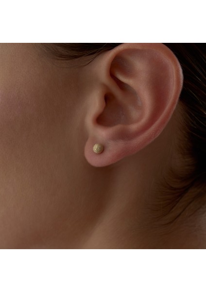 Small Shine Dot Küpe fiyatları