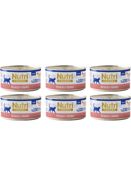 Ton Balıklı ve Somonlu Pate Tahılsız Yetişkin Kedi Konservesi 70 Gr. x 6 Adet