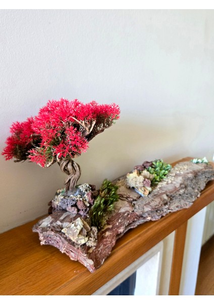 El Yapımı Doğal Ağaç Kabuğu Üzerine Bonsai Ağaç Dekor – Şoklanmış Yosunlu & Doğal Hediyelik Obje