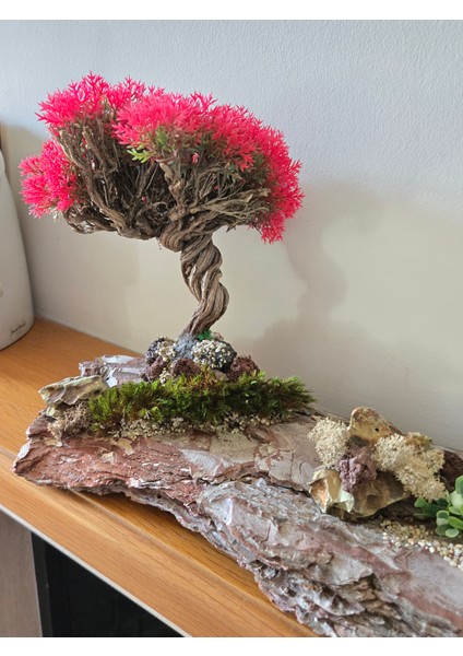 El Yapımı Doğal Ağaç Kabuğu Üzerine Bonsai Ağaç Dekor – Şoklanmış Yosunlu & Doğal Hediyelik Obje fiyatları