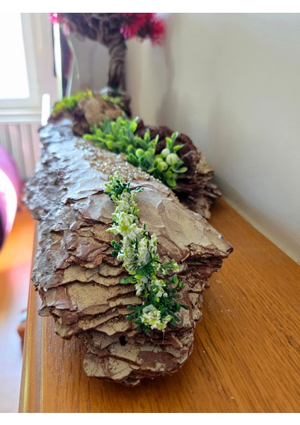 El Yapımı Doğal Ağaç Kabuğu Üzerine Bonsai Ağaç Dekor – Şoklanmış Yosunlu & Doğal Hediyelik Obje modelleri