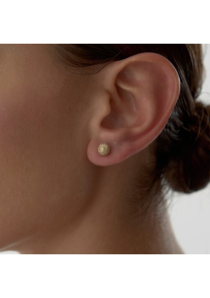 Large Shine Dot Küpe