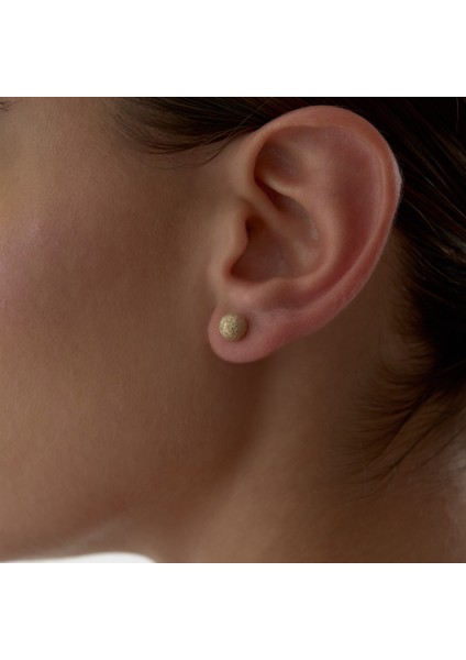 Large Shine Dot Küpe fiyatları