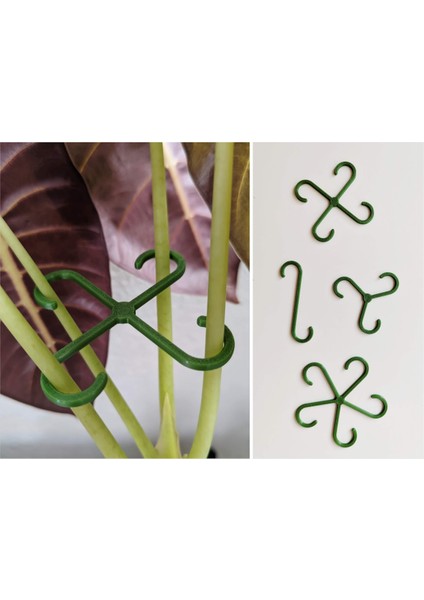 Bitki Gövde Destek ve Sabitleme Klipsi | Dikey Büyüme Için Pratik Bitki Tutucu (4'lü Set)