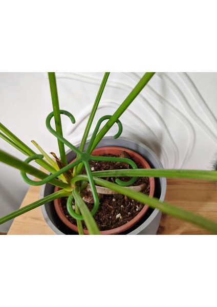 Bitki Gövde Destek ve Sabitleme Klipsi | Dikey Büyüme Için Pratik Bitki Tutucu (4'lü Set)