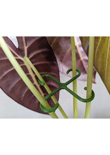 Bitki Gövde Destek ve Sabitleme Klipsi | Dikey Büyüme Için Pratik Bitki Tutucu (4'lü Set)