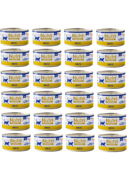 Tavuk Etli Pate Tahılsız Yetişkin Kedi Konservesi 70 Gr. x 24 Adet