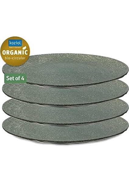 4&apos;lü Gri Tabak - 26 cm fiyatları