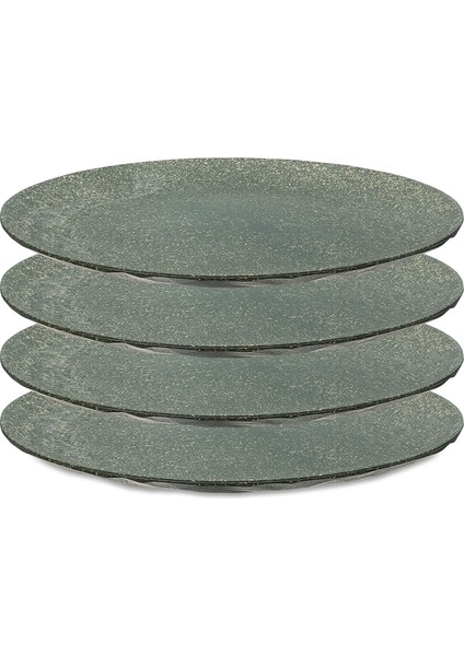 4&apos;lü Gri Tabak - 26 cm modelleri