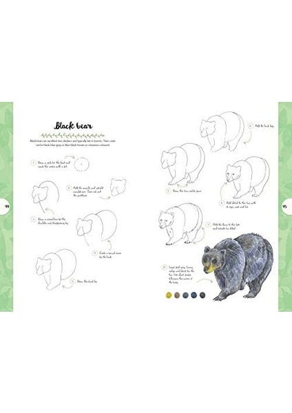 10:: Draw 60 Plants & Animals In 10 Easy Steps