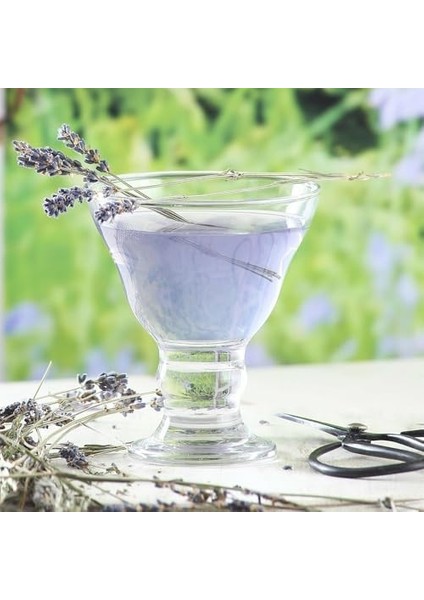 Lav 6&apos;lı Dondurmalık & Tatlı Servisi modelleri