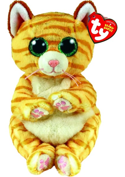 Morgan Kedi Bere Bellie