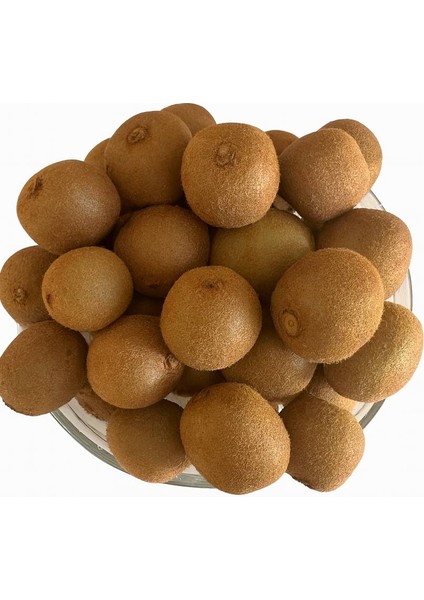 Taze Küçük Boy Rize Kivi Meyvesi 5 kg – 2025 Yeni Hasat