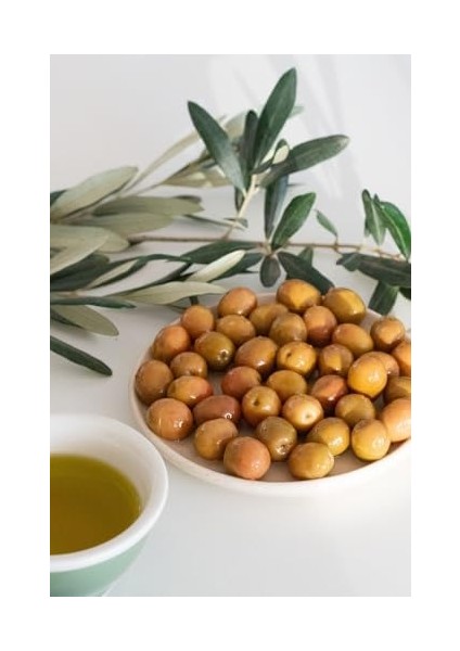 Doğal Ayvalık Çeşidi Çizik Yeşil Zeytin 640 gr Cam Kavanoz fiyatları