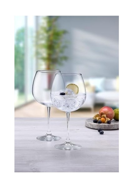 Enoteca 6&apos;lı Balon Şarap Kadeh 655 cc FAYA00000695 fiyatları