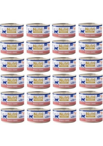 Ton Balıklı ve Somonlu Pate Tahılsız Yetişkin Kedi Konservesi 70 Gr. x 24 Adet