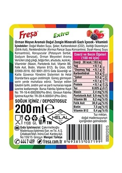 Freşa Extra Orman Meyve (200 ml x 24 Adet)