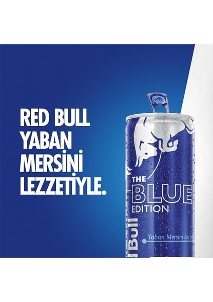 Red Bull Enerji Içeceği, Yaban Mersini, 250 ml (24&apos;lü Paket, 24 x 250 Ml) fiyatları