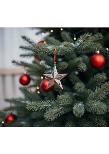 Noel Ağacı Yıldız Süsü modelleri