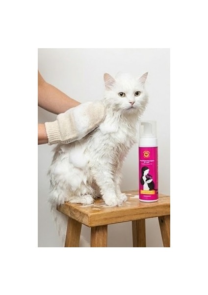Kediler Için Kuru Köpük Şampuan 200 ml fırsatları