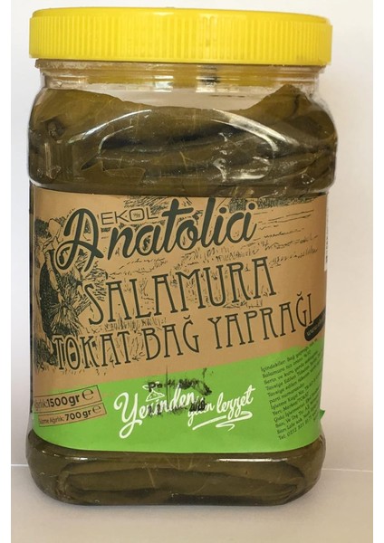 Anatolıa Taste Tokat Bağ Yaprağı 1500 gr
