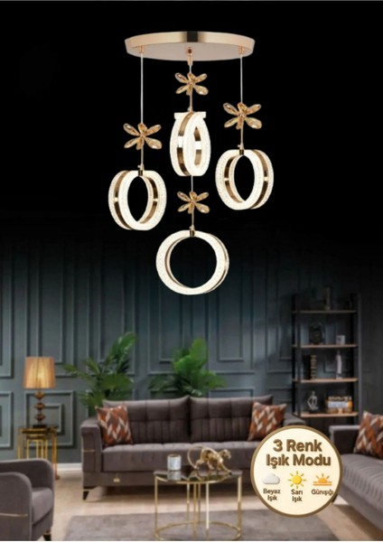 Aurea Model 4’lü Gold 3 Renk Modu Ledli Kristal Taşlı