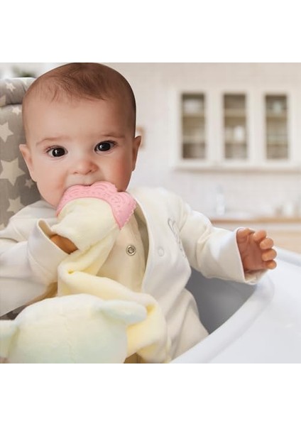 Babyjem Diş Kaşıyıcılı Uyku Arkadaşım Pembe fiyatları