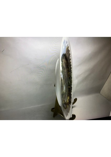 Limoges France Porselen Tabak - 26 cm Çapında modelleri