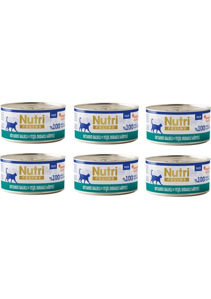 Okyanus Balıklı ve Midyeli Pate Tahılsız Yetişkin Kedi Konservesi 70 Gr. x 6 Adet