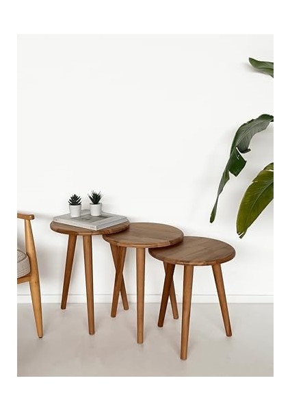 Masif Ahşap Yörünge Sehpa Seti - 3&apos;lü Zigon Yuvarlak Modern Takım (Yan, Dekoratif Sehpa)&apos;&apos; (Kayın) modelleri