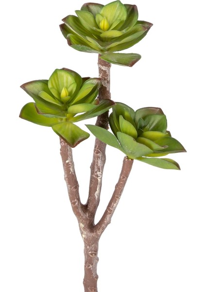 Yapay Kaktüs Sukulent Kırmızı-Yeşil 35 Cm.