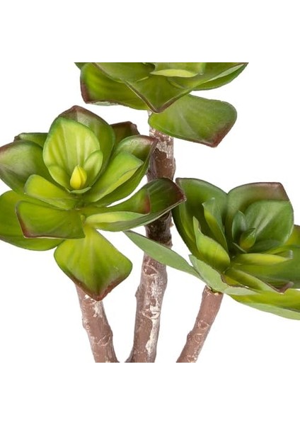 Yapay Kaktüs Sukulent Kırmızı-Yeşil 35 Cm. modelleri