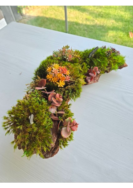 El Yapımı Doğal Yosunlu Ağaç Kabuğu Dekor – Renkli Yapay Çiçekli Masa Süsü
