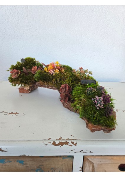 El Yapımı Doğal Yosunlu Ağaç Kabuğu Dekor – Renkli Yapay Çiçekli Masa Süsü modelleri