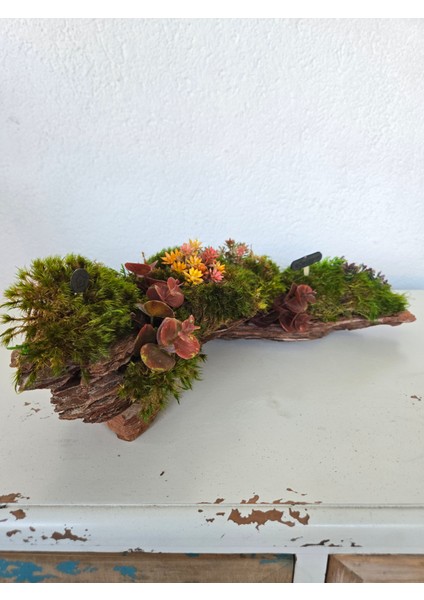 El Yapımı Doğal Yosunlu Ağaç Kabuğu Dekor – Renkli Yapay Çiçekli Masa Süsü fırsatları