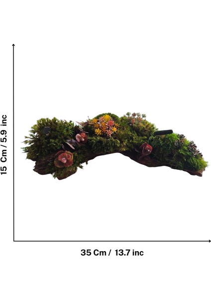 El Yapımı Doğal Yosunlu Ağaç Kabuğu Dekor – Renkli Yapay Çiçekli Masa Süsü indirimleri