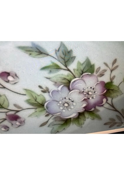 Limoges Rehausse Main El Boyama Sunumluk Şekerlik Kase - 17,5 cm 11 cm x 3 cm indirimleri