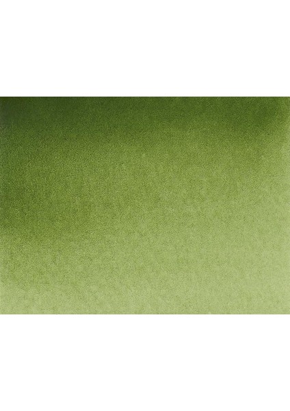 Akademie Aquarell Yarım Tablet Sulu Boya 554 Olive Green Yellowish fiyatları